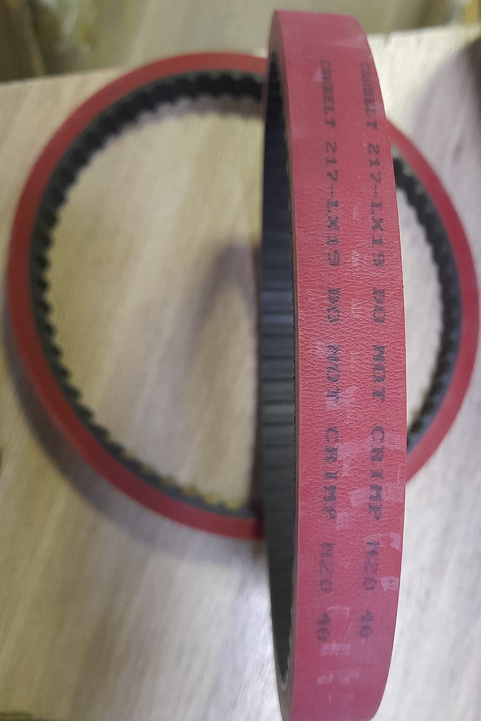 CORREA SINCRÓNICA CSHBELT 217L X 19MM 58 DIENTES UNIDAD - Imagen 1